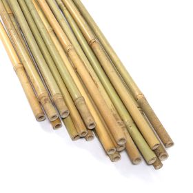 20PC 6FT A natural bamboo plant climbing stakes helps plants grow and beautifies your space.